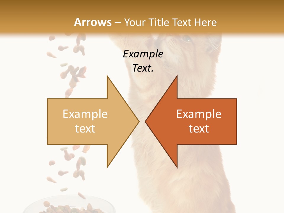 Health Feeding Snacks PowerPoint Template