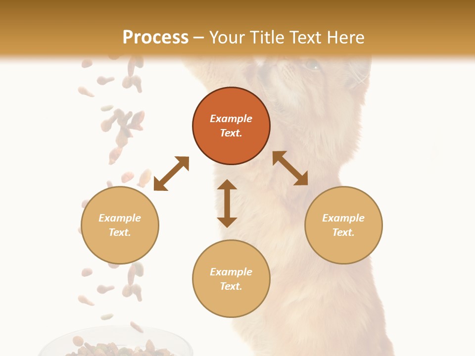 Health Feeding Snacks PowerPoint Template
