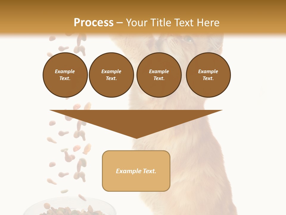 Health Feeding Snacks PowerPoint Template