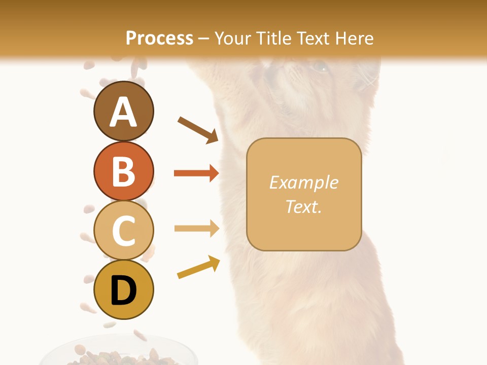Health Feeding Snacks PowerPoint Template
