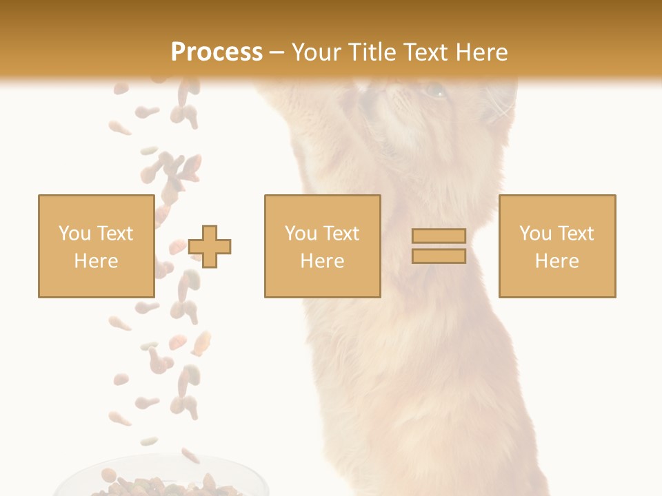 Health Feeding Snacks PowerPoint Template