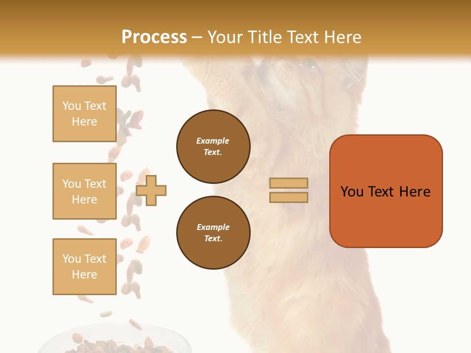 Health Feeding Snacks PowerPoint Template