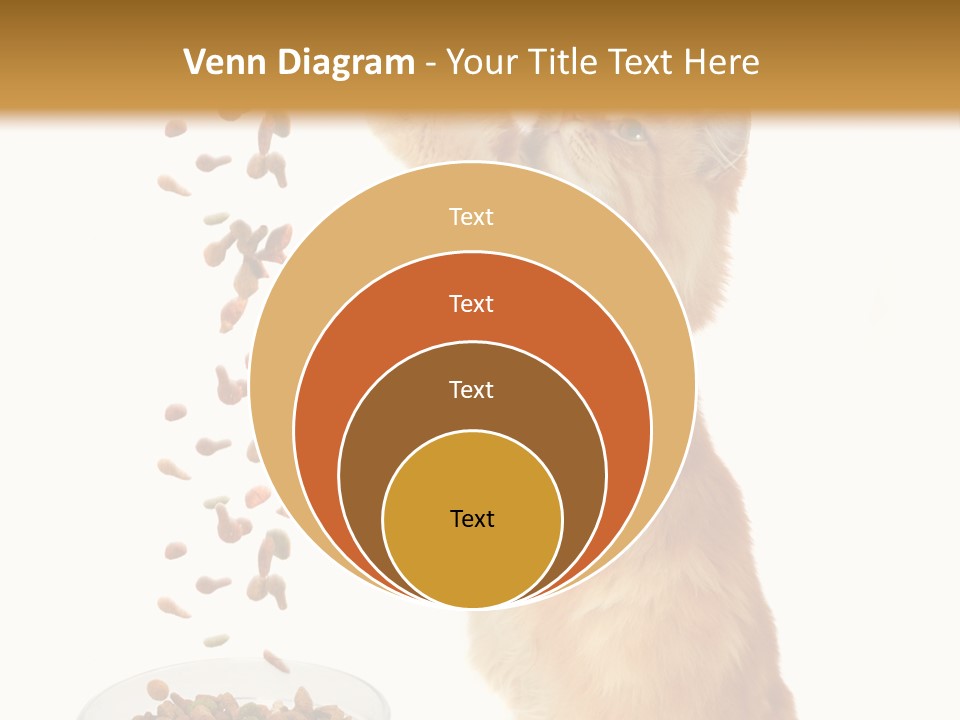 Health Feeding Snacks PowerPoint Template
