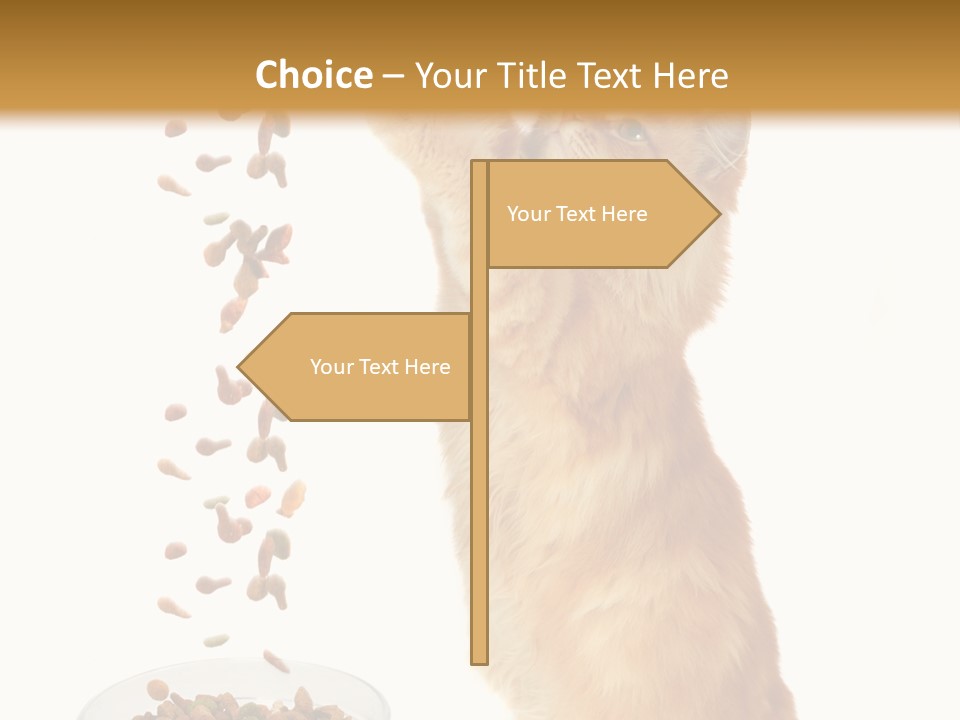 Health Feeding Snacks PowerPoint Template