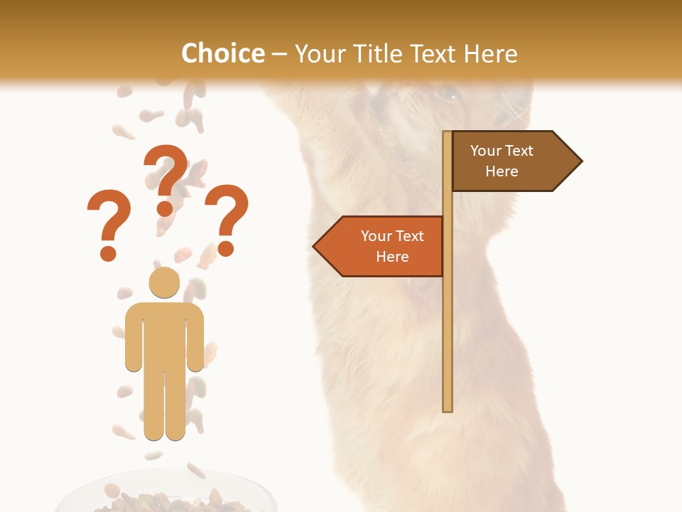 Health Feeding Snacks PowerPoint Template