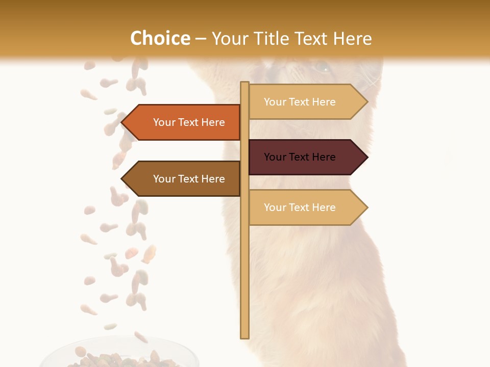 Health Feeding Snacks PowerPoint Template