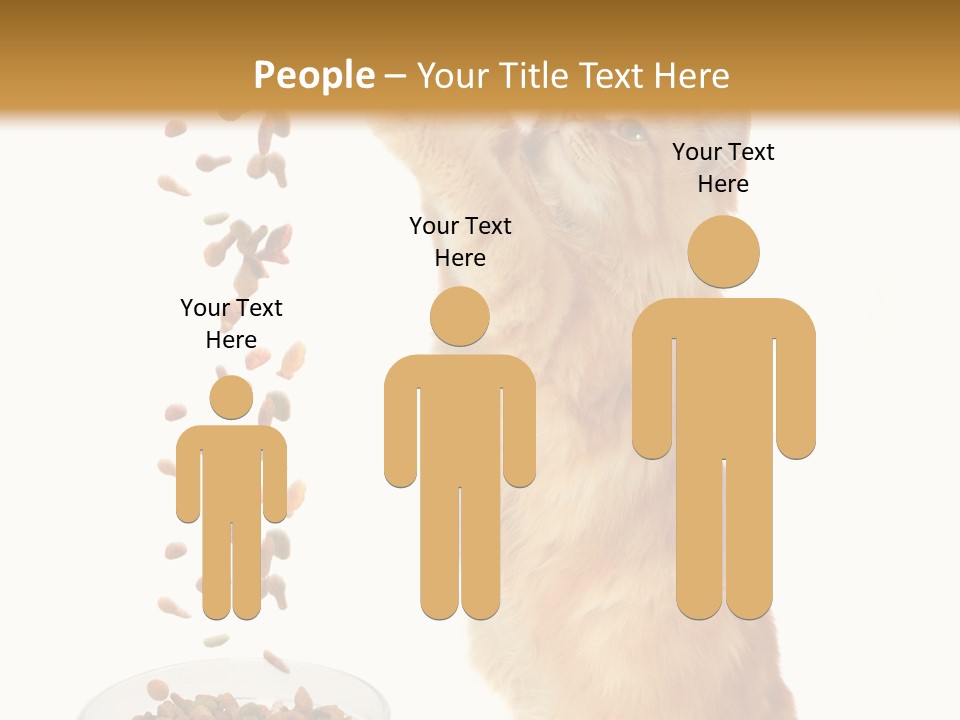 Health Feeding Snacks PowerPoint Template