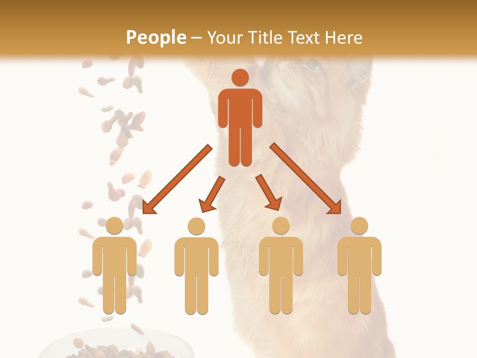 Health Feeding Snacks PowerPoint Template