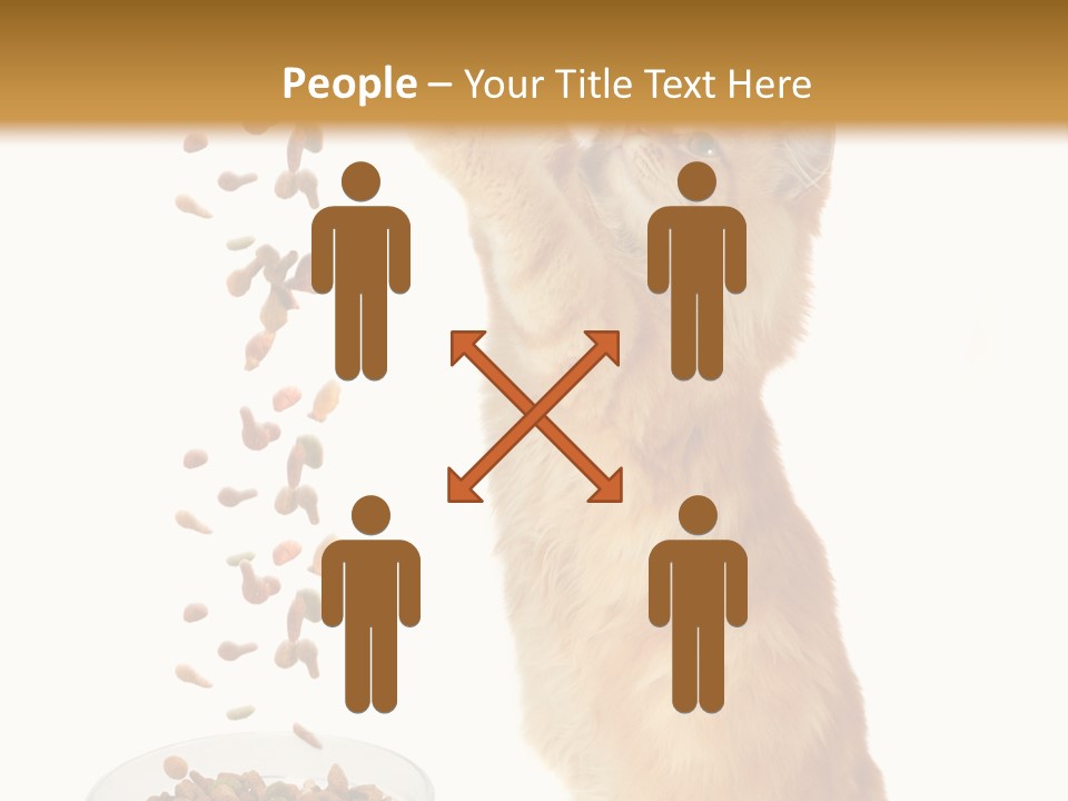 Health Feeding Snacks PowerPoint Template