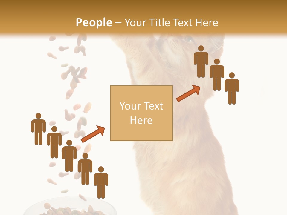 Health Feeding Snacks PowerPoint Template