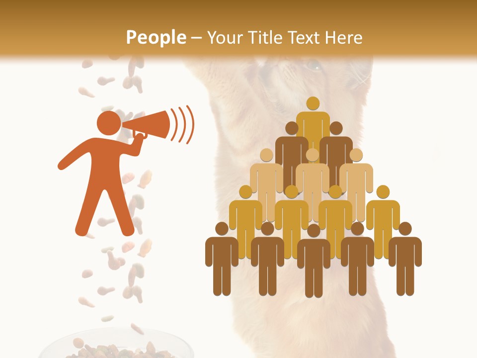 Health Feeding Snacks PowerPoint Template