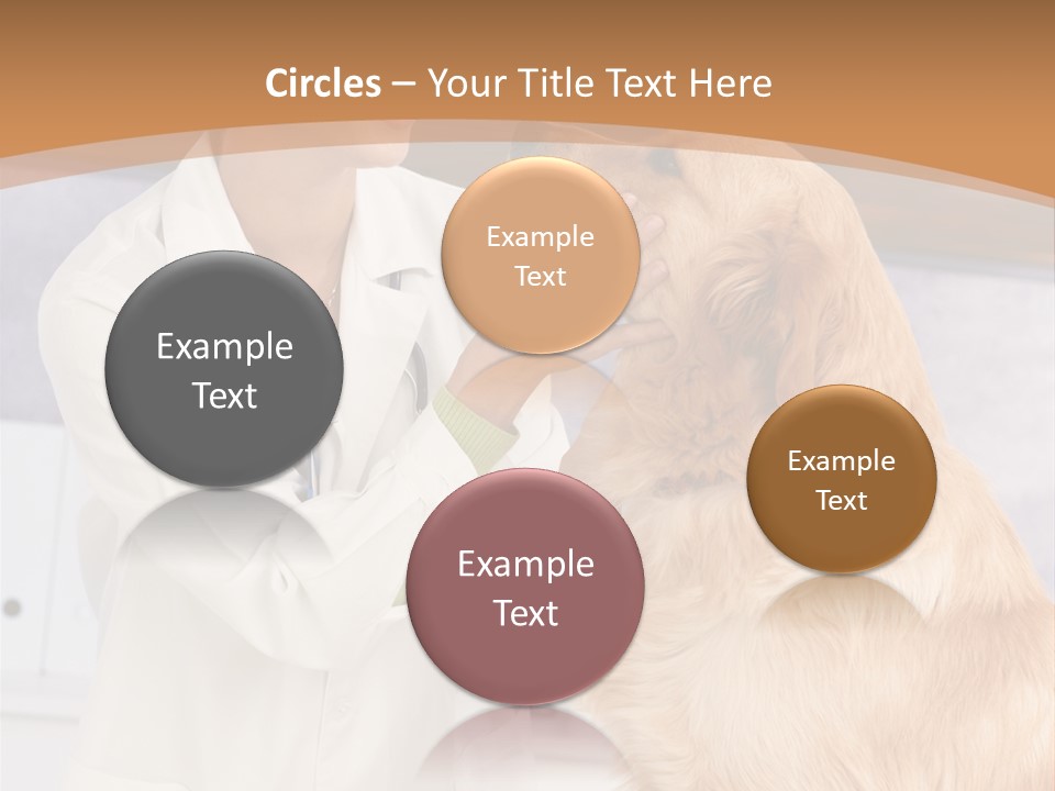 Fondling S Teeth PowerPoint Template