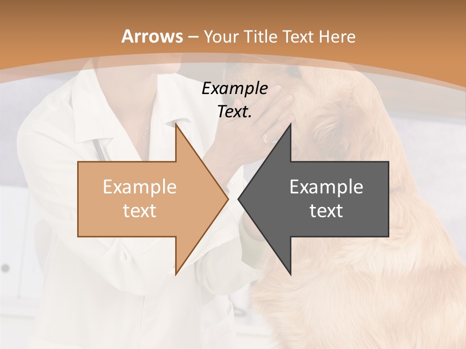 Fondling S Teeth PowerPoint Template
