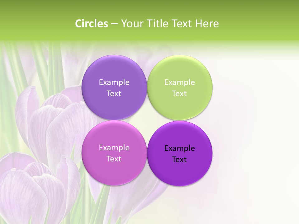 Feminine Plant Floral PowerPoint Template