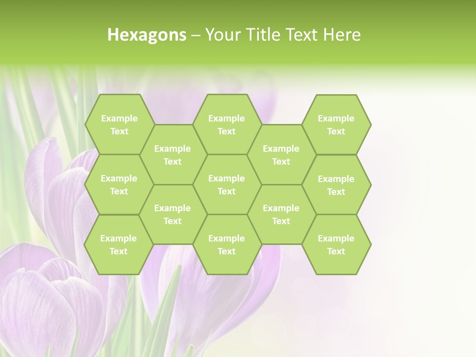 Feminine Plant Floral PowerPoint Template