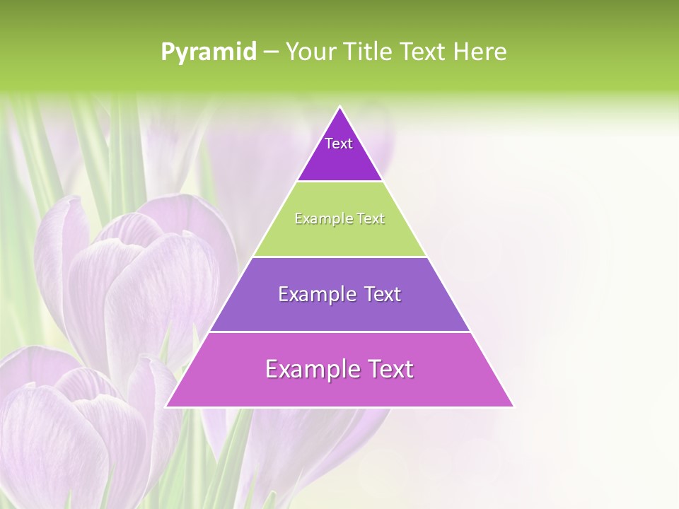 Feminine Plant Floral PowerPoint Template