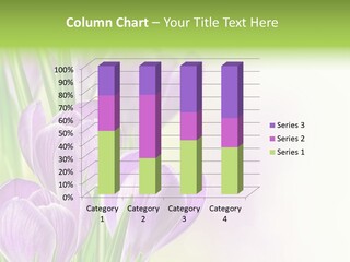 Feminine Plant Floral PowerPoint Template