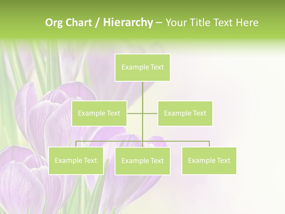 Feminine Plant Floral PowerPoint Template