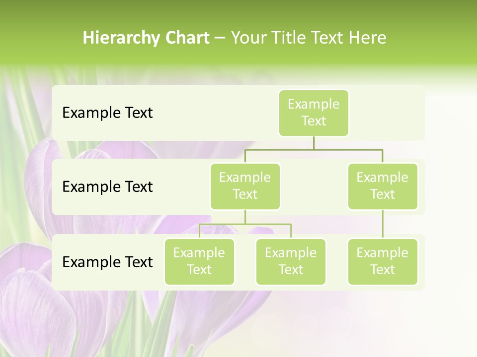 Feminine Plant Floral PowerPoint Template
