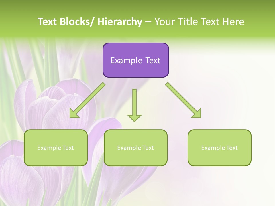 Feminine Plant Floral PowerPoint Template