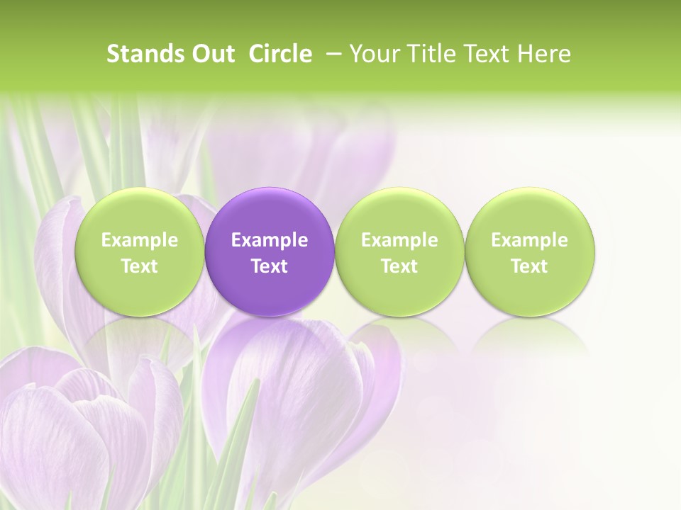 Feminine Plant Floral PowerPoint Template