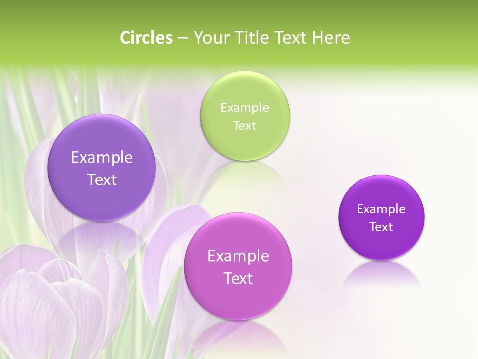 Feminine Plant Floral PowerPoint Template