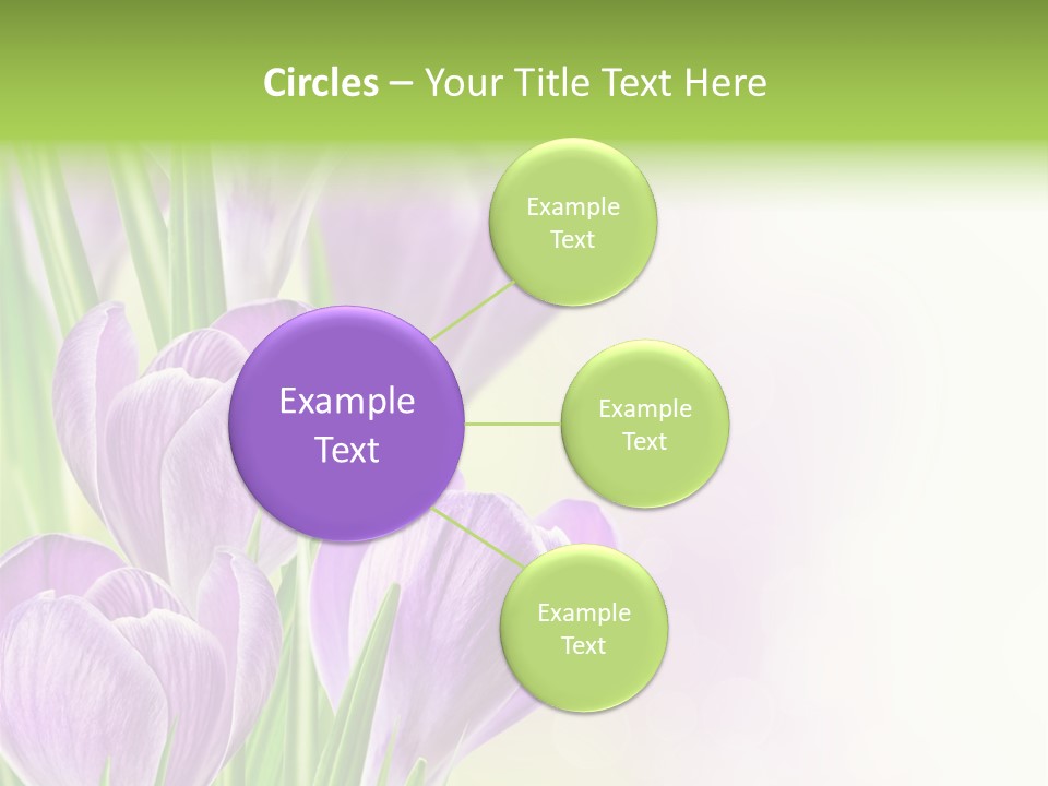 Feminine Plant Floral PowerPoint Template