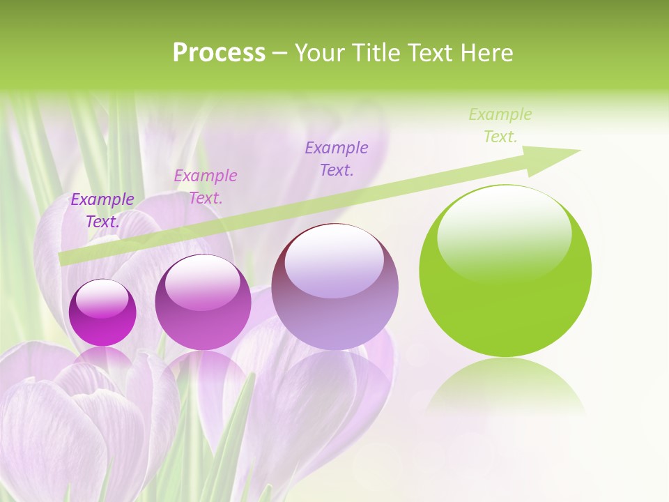 Feminine Plant Floral PowerPoint Template