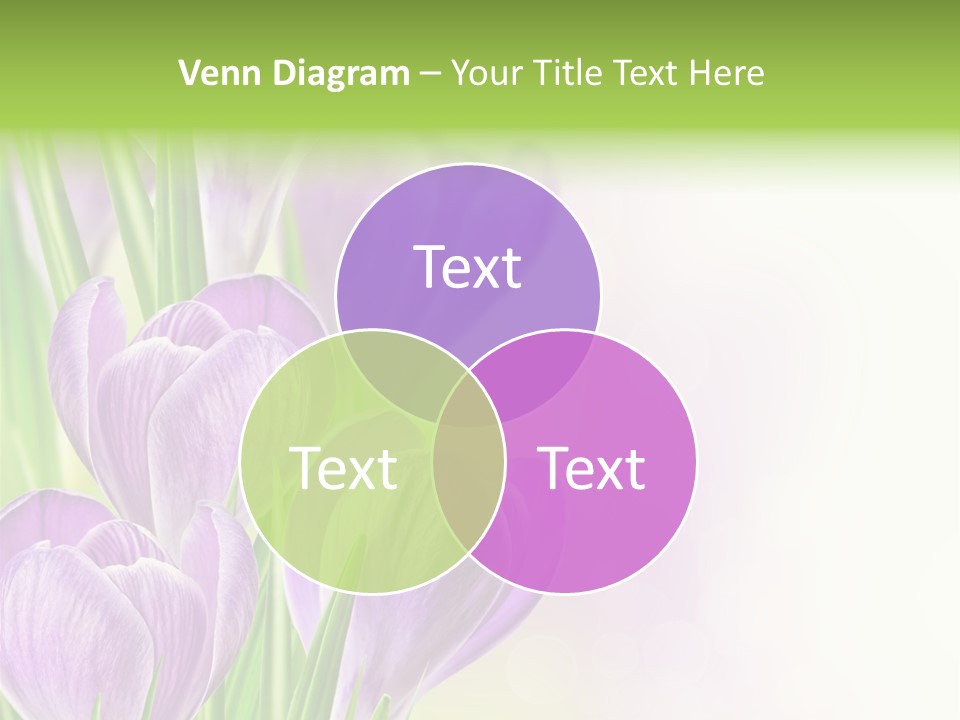 Feminine Plant Floral PowerPoint Template
