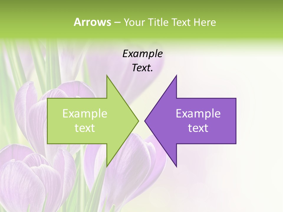 Feminine Plant Floral PowerPoint Template