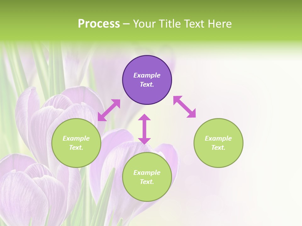 Feminine Plant Floral PowerPoint Template