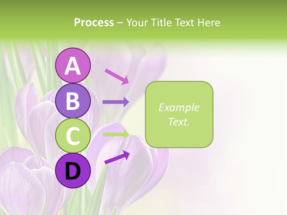 Feminine Plant Floral PowerPoint Template