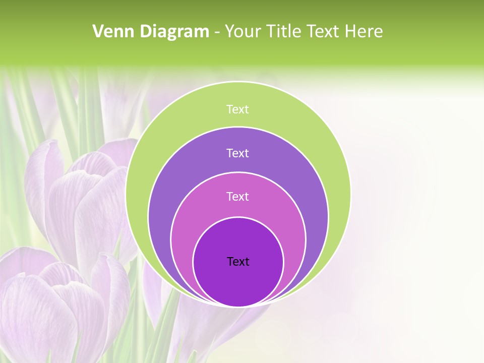 Feminine Plant Floral PowerPoint Template