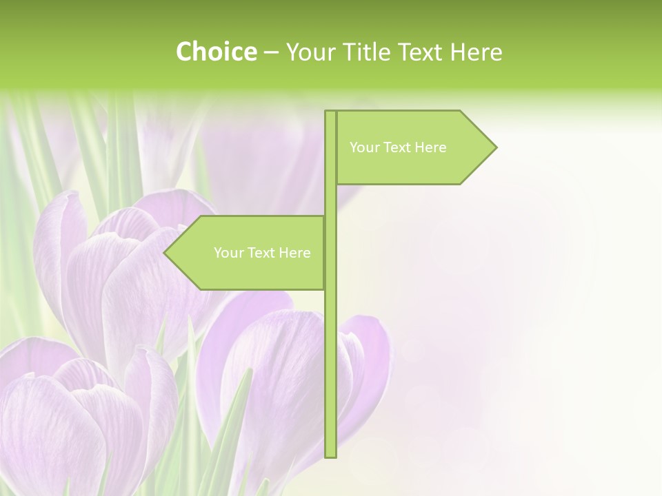 Feminine Plant Floral PowerPoint Template