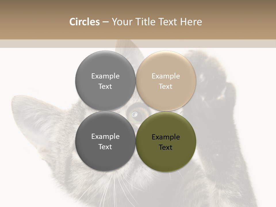 Company Character Chair PowerPoint Template