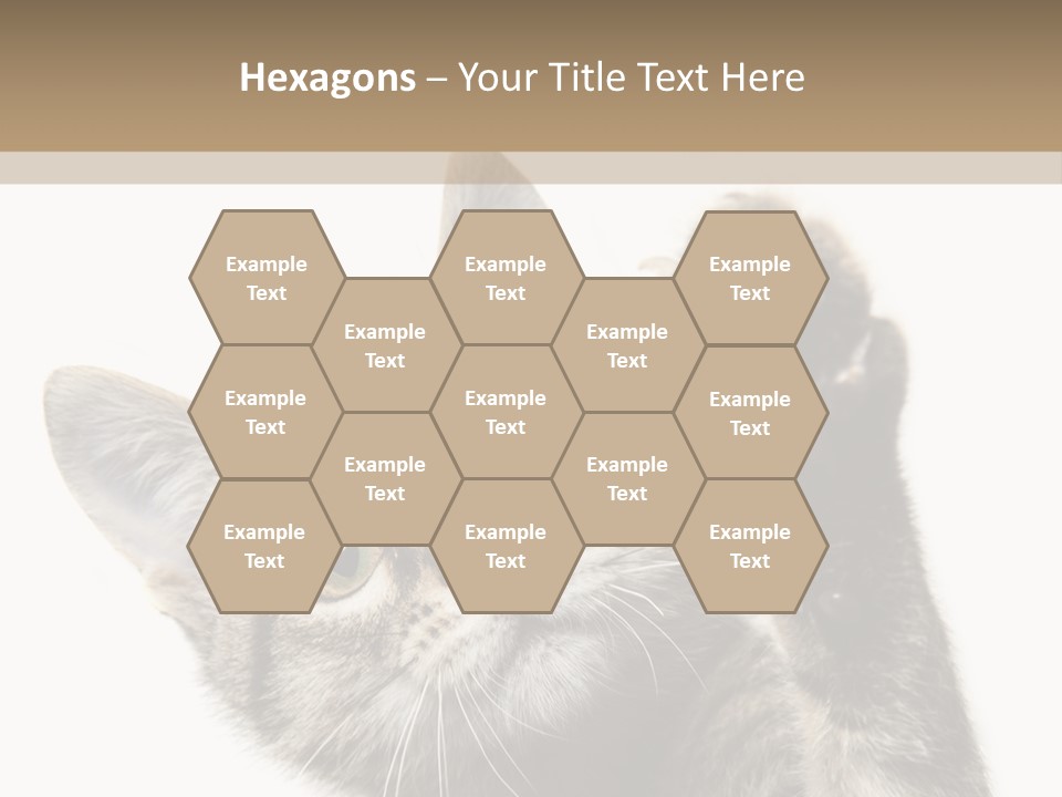 Company Character Chair PowerPoint Template