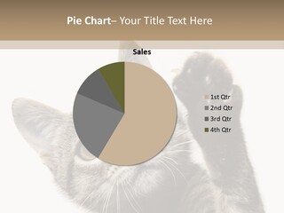 Company Character Chair PowerPoint Template