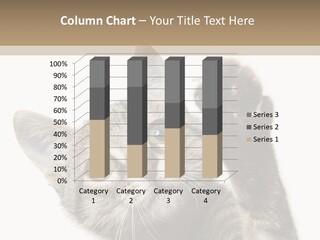 Company Character Chair PowerPoint Template