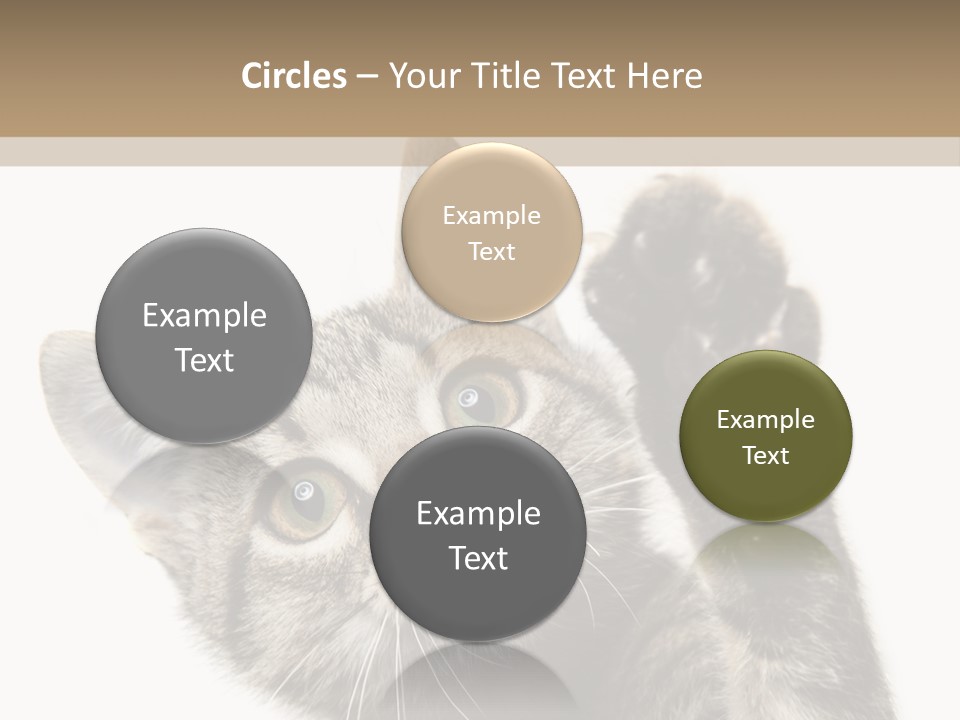 Company Character Chair PowerPoint Template