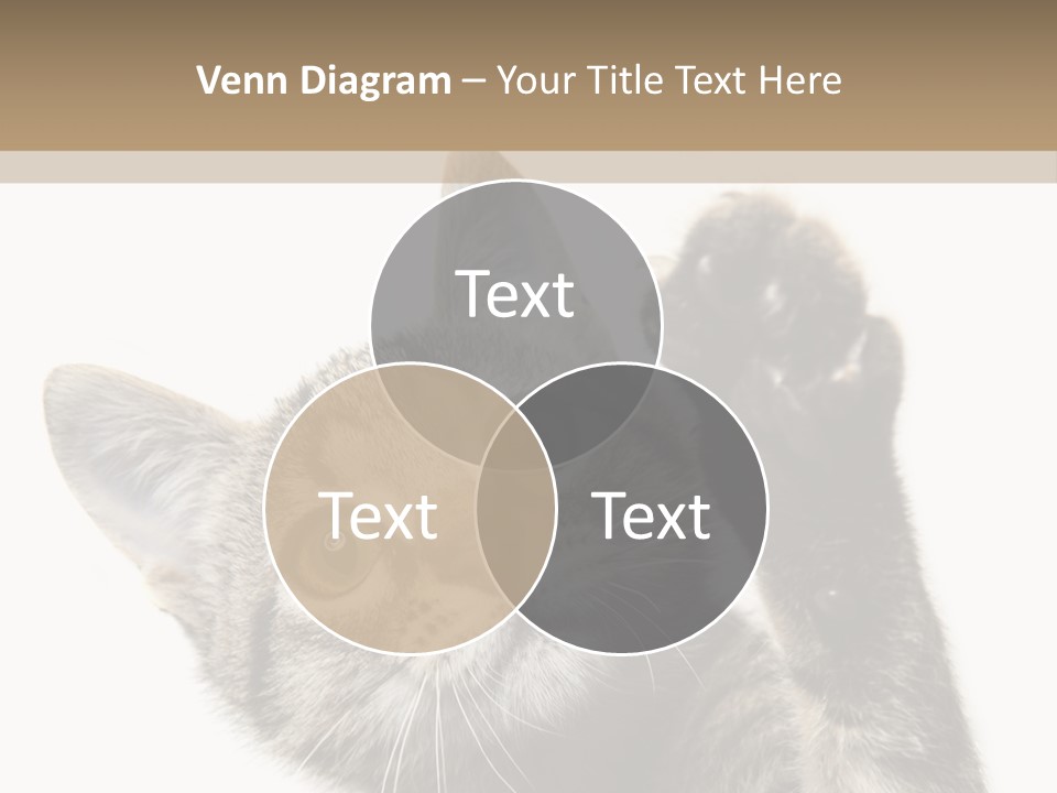 Company Character Chair PowerPoint Template