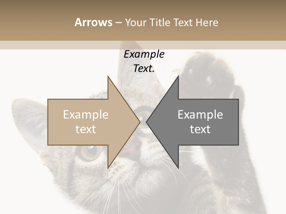 Company Character Chair PowerPoint Template