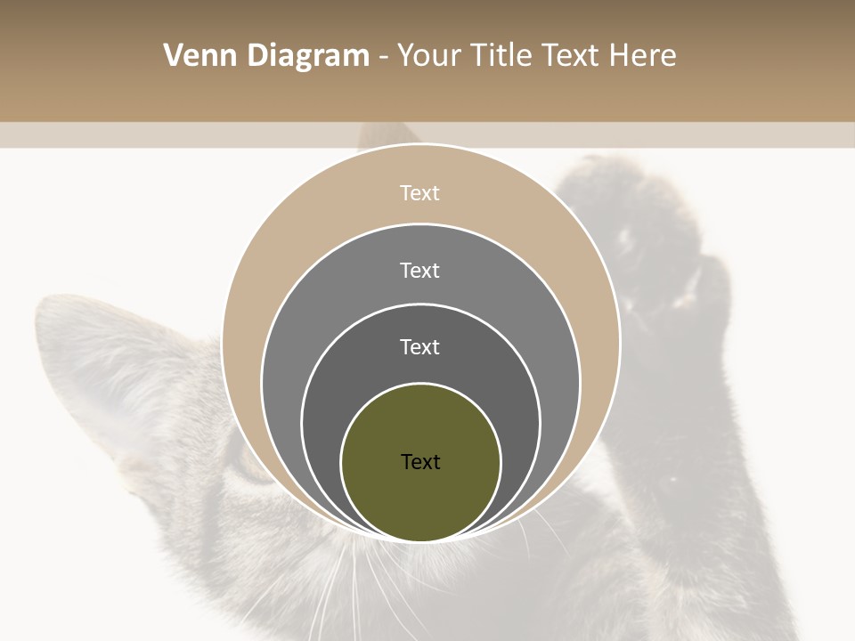 Company Character Chair PowerPoint Template