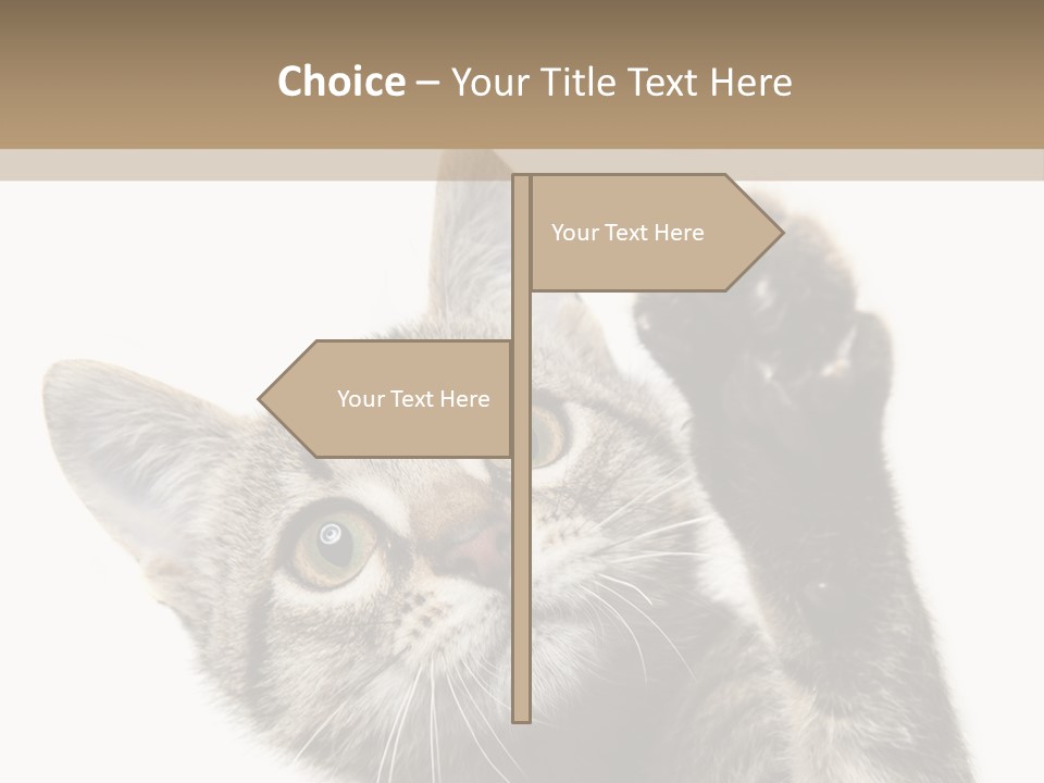 Company Character Chair PowerPoint Template