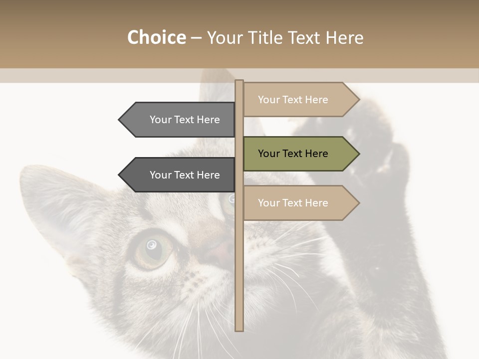 Company Character Chair PowerPoint Template