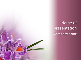 Greeting Arrangement Green PowerPoint Template