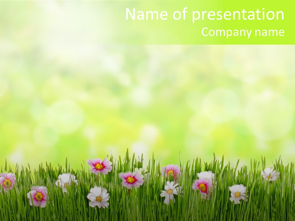 Blossom Natural Easter PowerPoint Template