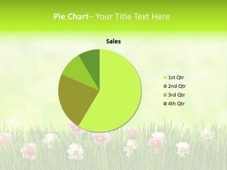 Blossom Natural Easter PowerPoint Template