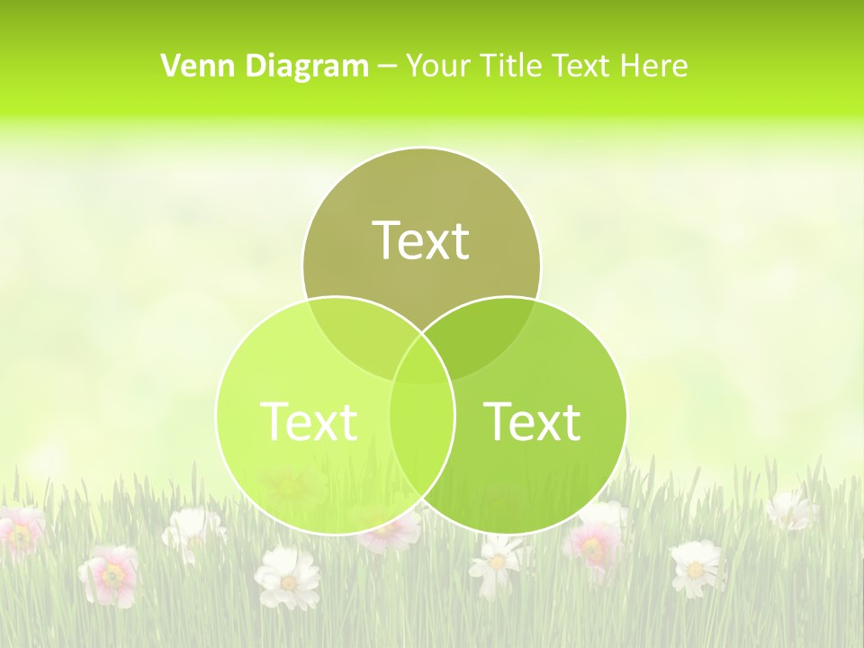 Blossom Natural Easter PowerPoint Template