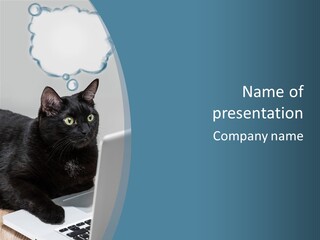 Communicating Solid Concept PowerPoint Template