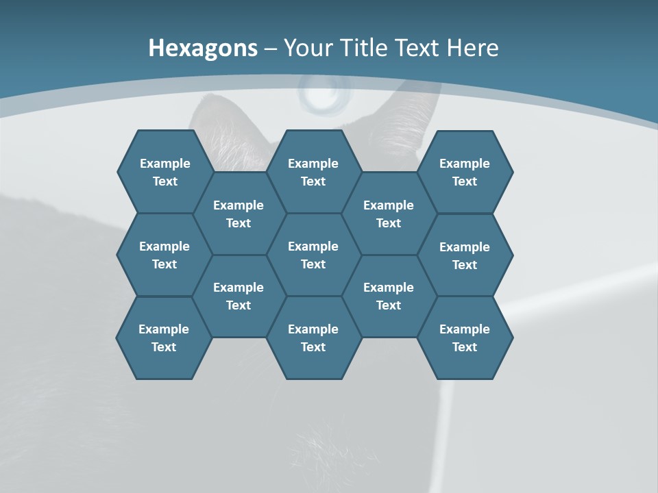 Communicating Solid Concept PowerPoint Template